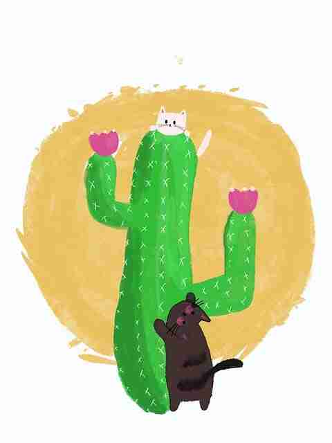 2024.06.22 黑料网入口#浮世绘#回顾#全面#多维透视