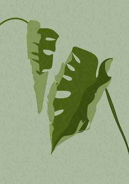 黑料每日疯传知名网红私生活曝光再起波澜，网红黑料是什么意思