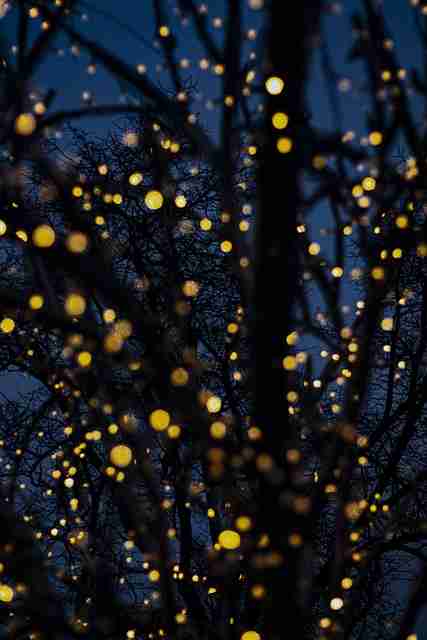 【鉴黄师免费观看】高能独家手记解析 - 口碑炸裂，鉴黄师主要是干什么的