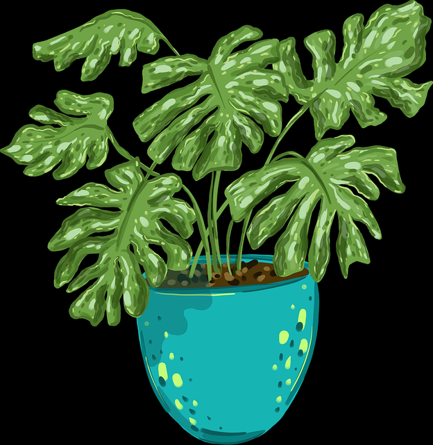 【51视频网站】环绕式话题矩阵聚焦 - 看完秒懂