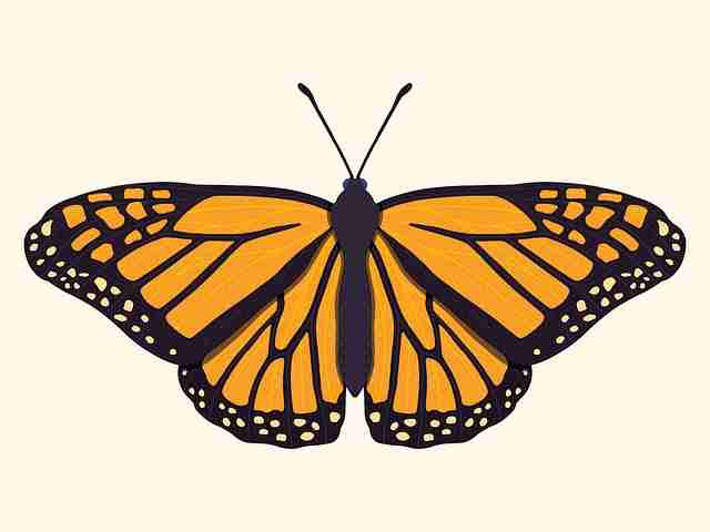 17吃瓜快讯：私生活混乱被前任曝光再起波澜，网友看法两极，私生活混乱对身体有什么影响