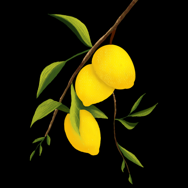 每日大赛在线免费观看#内容生态#引爆#新锐#视角升级，每日每日